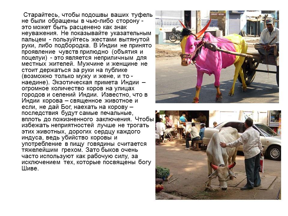 География Индии Географическое и