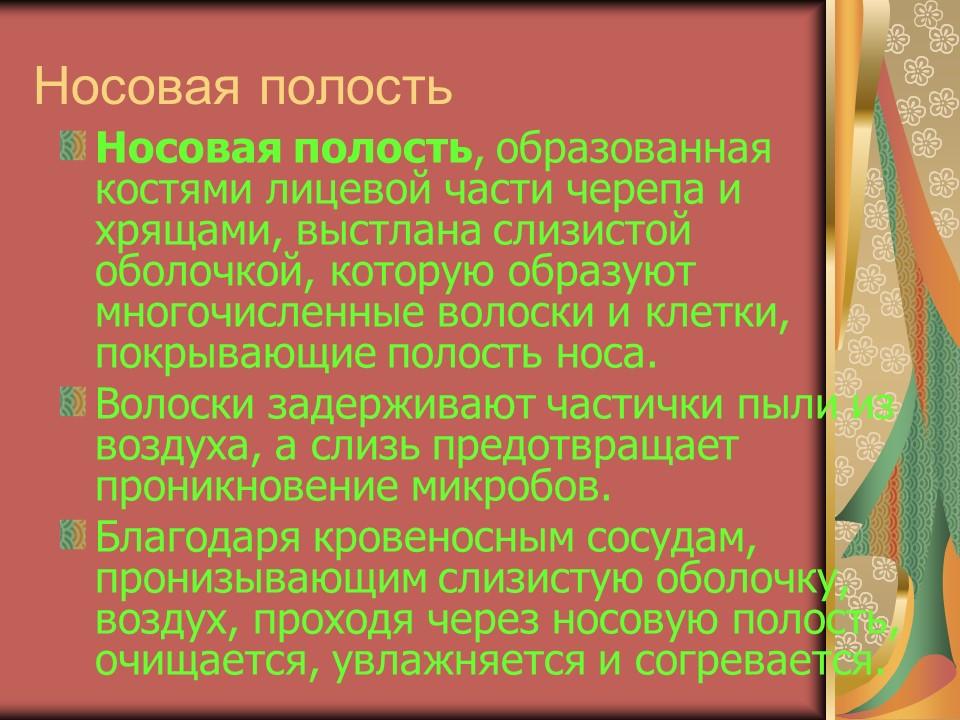 Органы дыхания 2