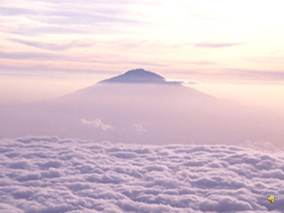 Африка Африка -