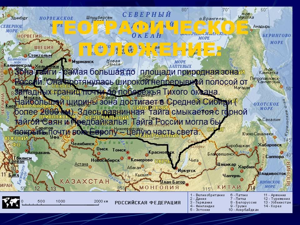 Природные зоны России Тайга