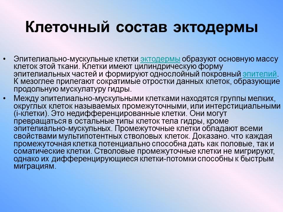 Пресноводный полип гидра