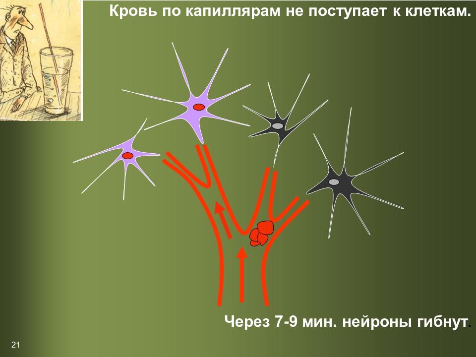 Культура умственного труда 2
