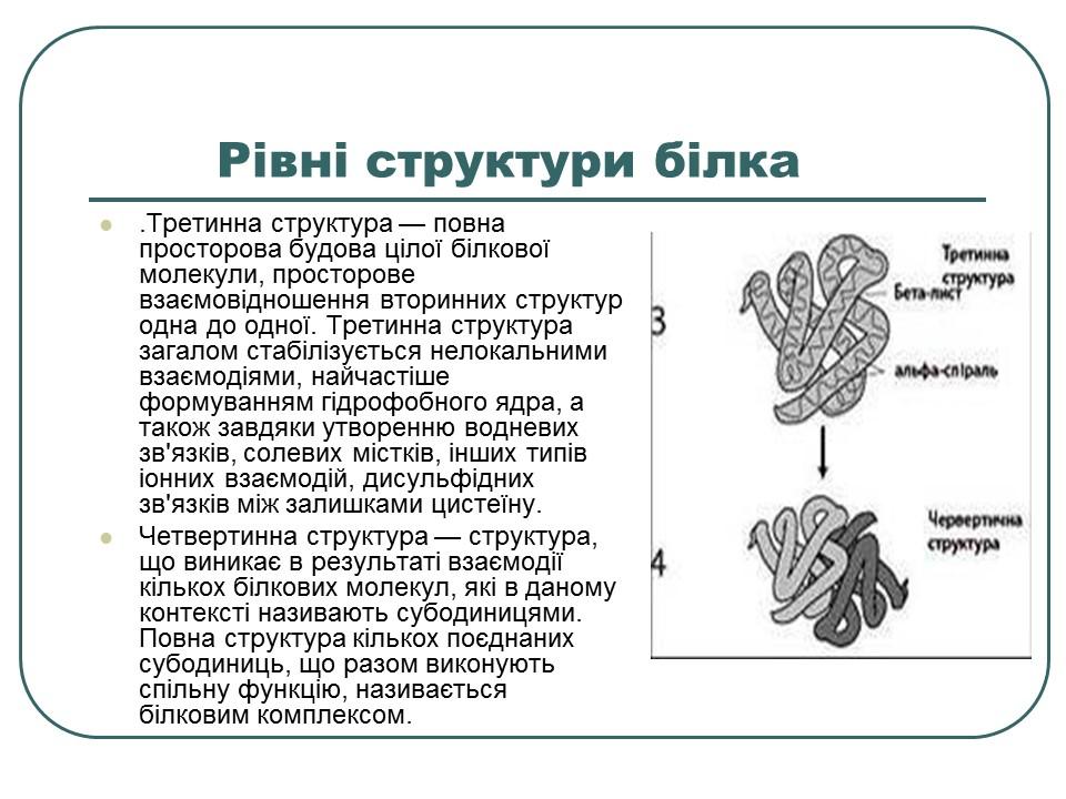 Що таке білки