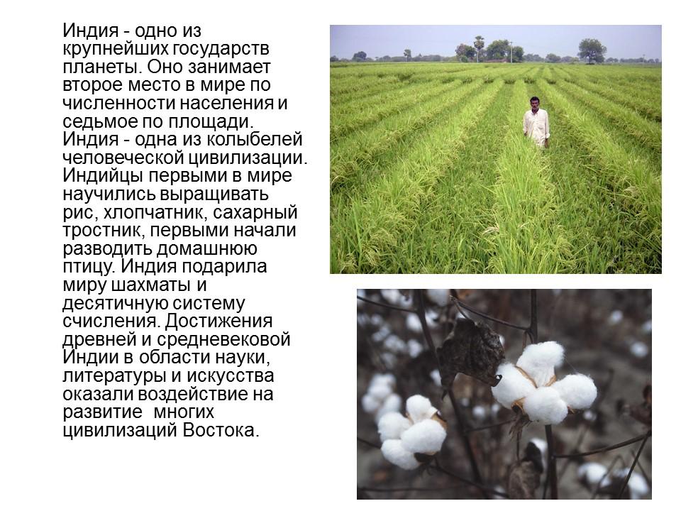 География Индии Географическое и