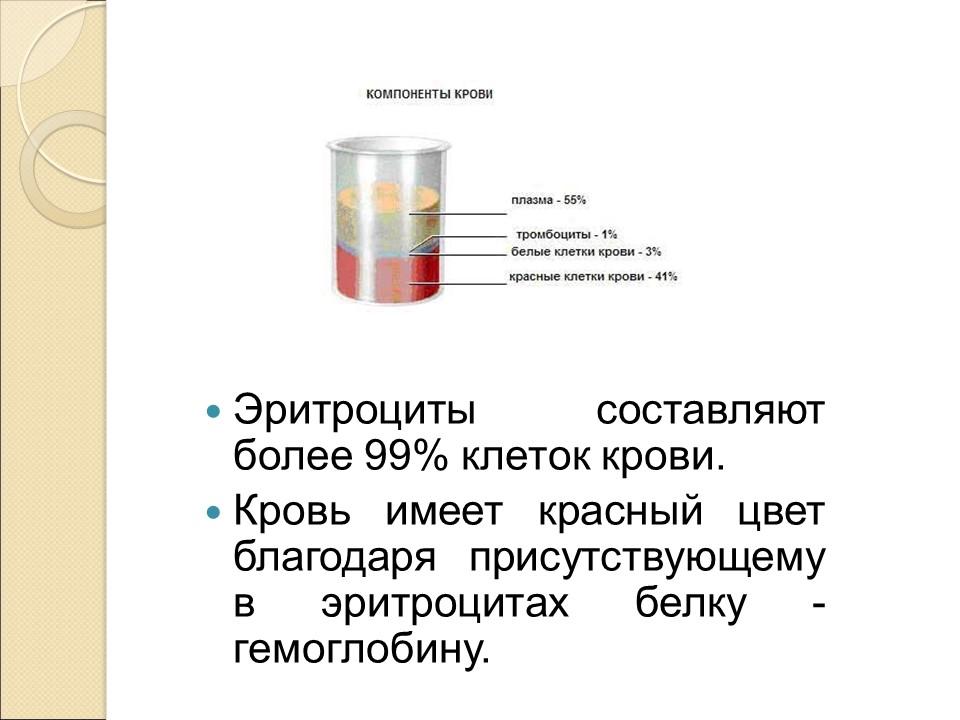 Кровь ее состав и функции