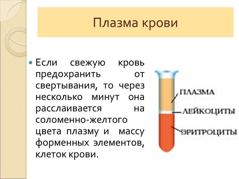 Кровь ее состав и функции