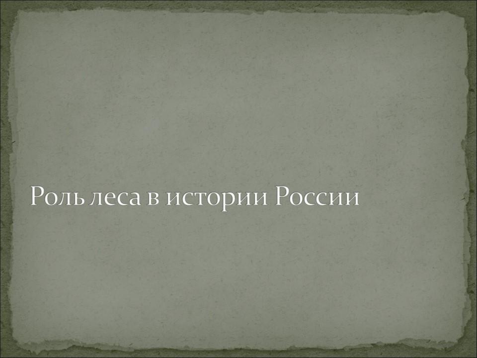 Роль леса в художественном сознании русского народа в экономике и культуре России