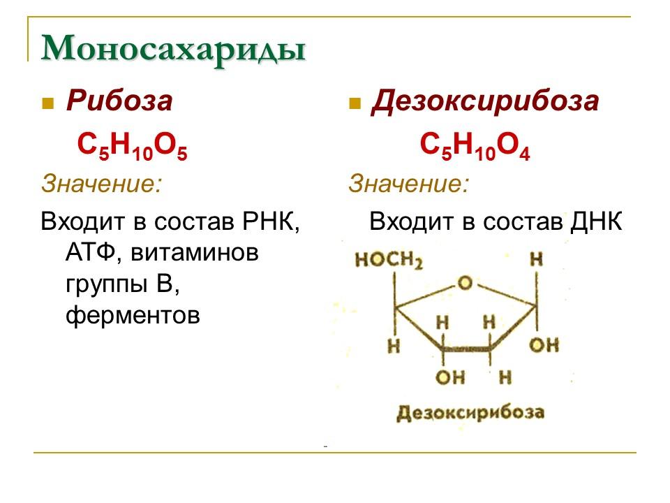 Углеводы Строение и функции