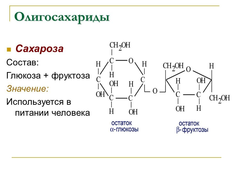 Углеводы Строение и функции