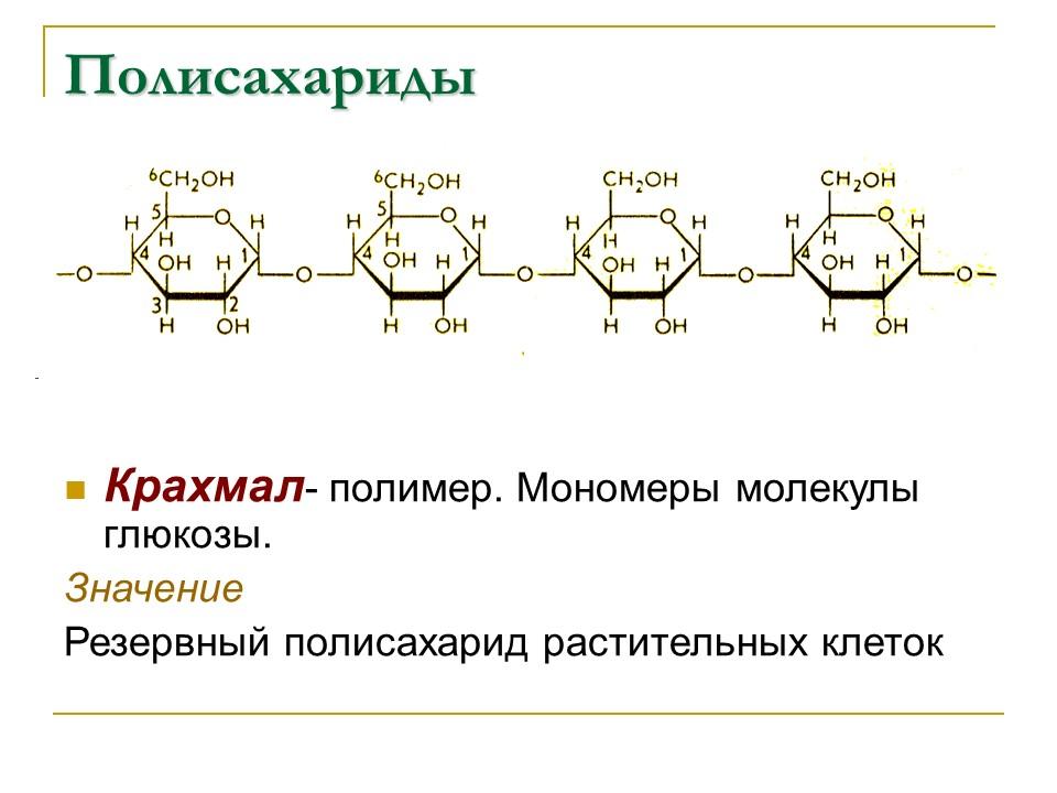 Углеводы Строение и функции