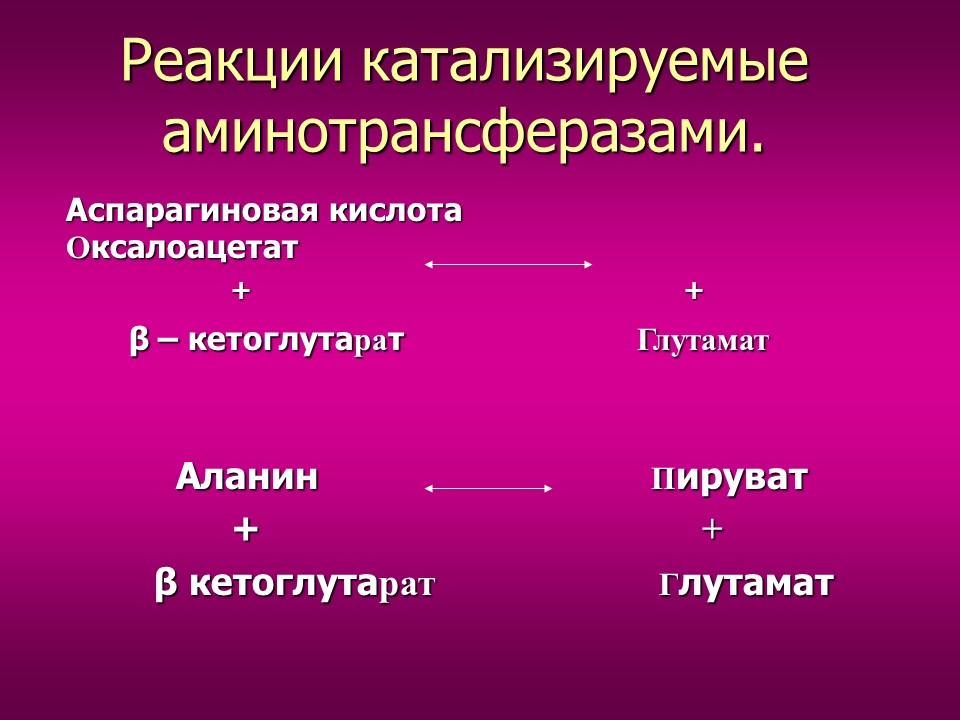 Изучение токсического влияния кадмия на активность аминотрансфераз у потомства белых крыс