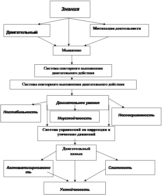 Процесс формирования умения и навыков