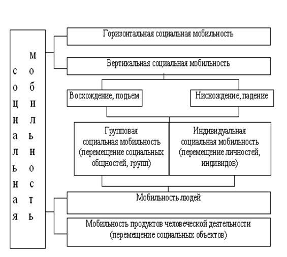 Виды социальной мобильности схема