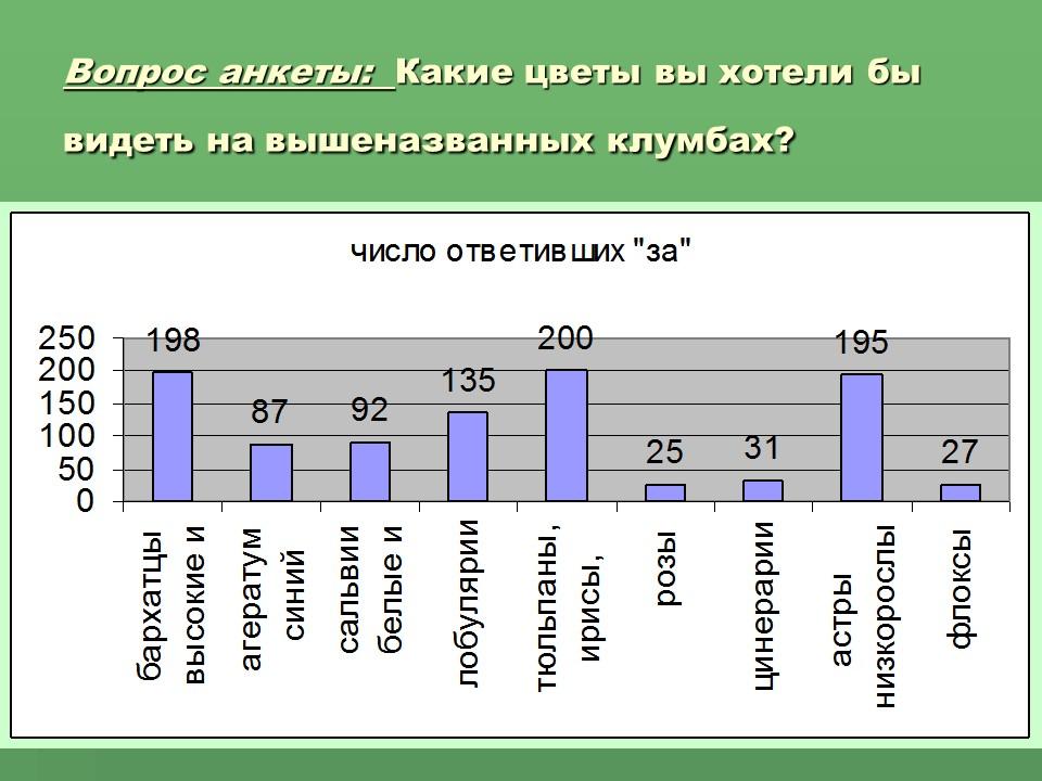 Социальный проект Цветочный калейдоскоп