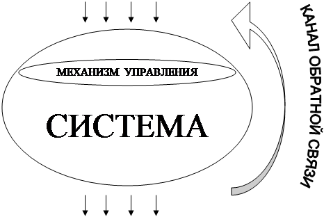 Самоорганизация систем в природе и обществе. Самоорганизующие системы. Самоорганизующаяся система схема. Схему «открытые и самоорганизующиеся системы. Сложно самоорганизуемые системы.