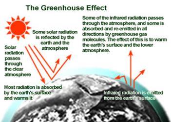 Ecological problems. Environmental protection