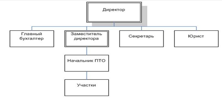 Организационная структура ип схема