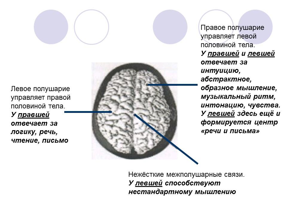 Основы технологии умственного труда