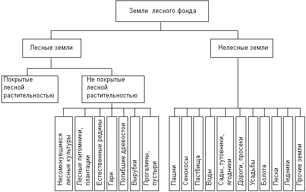 Виды лесного фонда