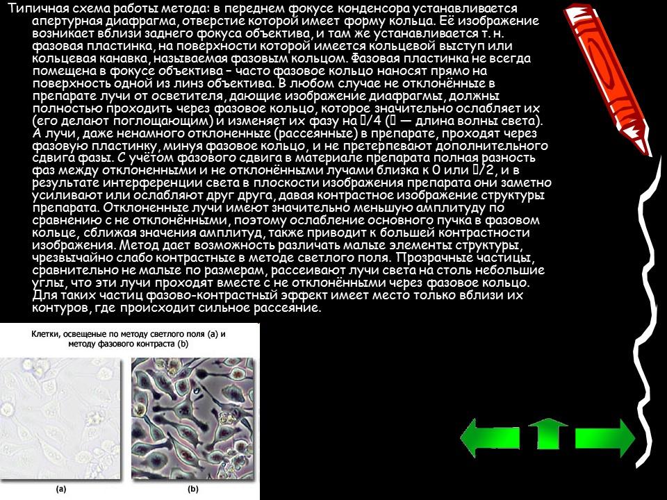 Методы изучения клетки. Методы изучения клетки презентация. Инфракрасный метод изучения клетки. Метод темного поля и метод фазового контраста. Методы темного поля метод фазового контраста.