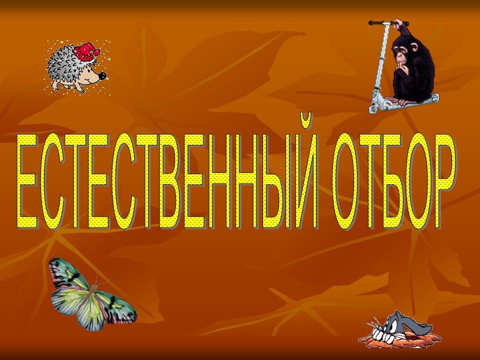 Естественный отбор 2